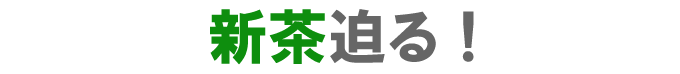新茶迫る！