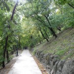 DSC00684