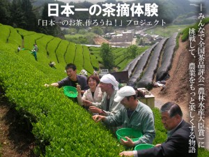 茶摘体験ご案内「日本一のお茶、作ろうね！」プロジェクト