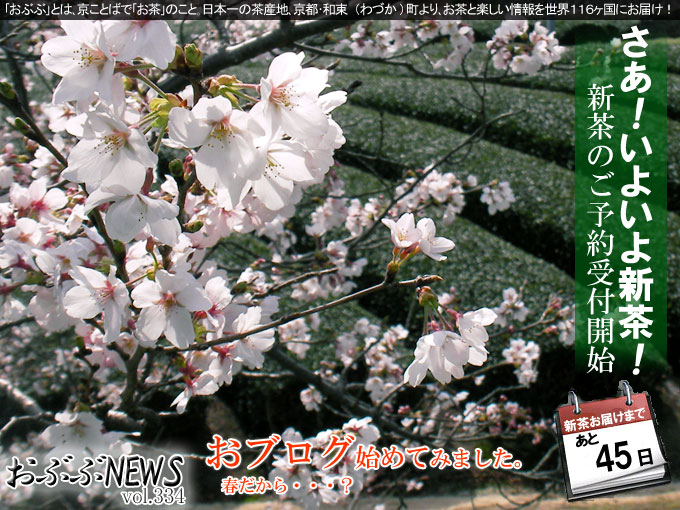 【おぶぶＮＥＷＳ】