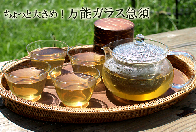 ちょっと大きめ万能ガラス急須