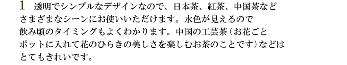 ちょっと大きめ万能ガラス急須