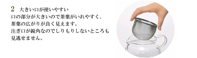 ちょっと大きめ万能ガラス急須