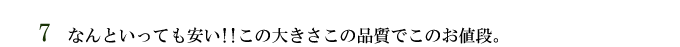 ちょっと大きめ万能ガラス急須