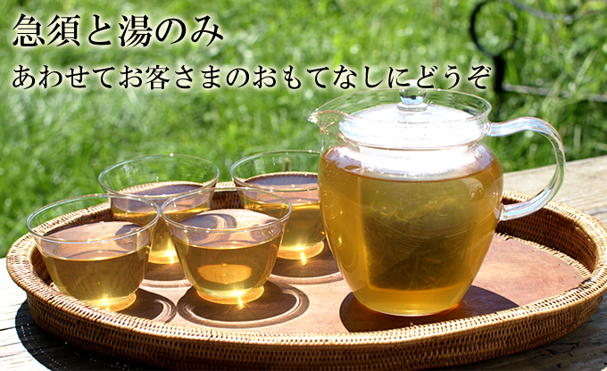 ちょっと大きめ万能ガラス急須