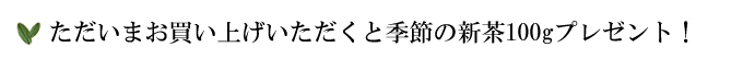 ちょっと大きめ万能ガラス急須