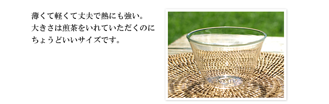 ちょっと大きめ万能ガラス急須