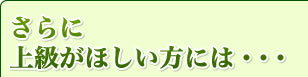 さらに上級がほしい方には・・・