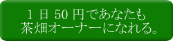 あなたも京都に茶畑が持てる！