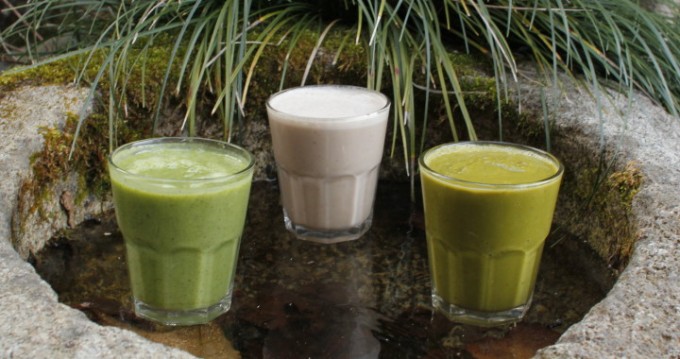 日本茶スムージー Green Tea Smoothies お茶の通販 京都おぶぶ茶苑ブログ おぶログ