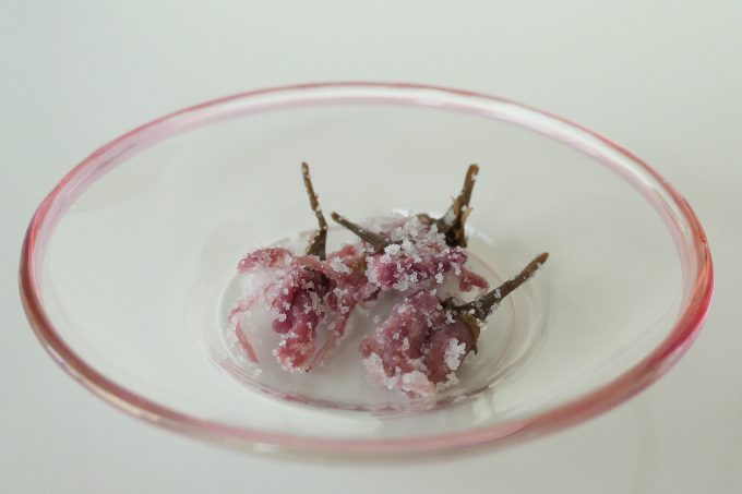 今年もあまい桜茶をご用意しました お茶の通販 京都おぶぶ茶苑ブログ おぶログ 今年もあまい桜茶をご用意しました お茶の通販 京都おぶぶ茶苑ブログ おぶログ