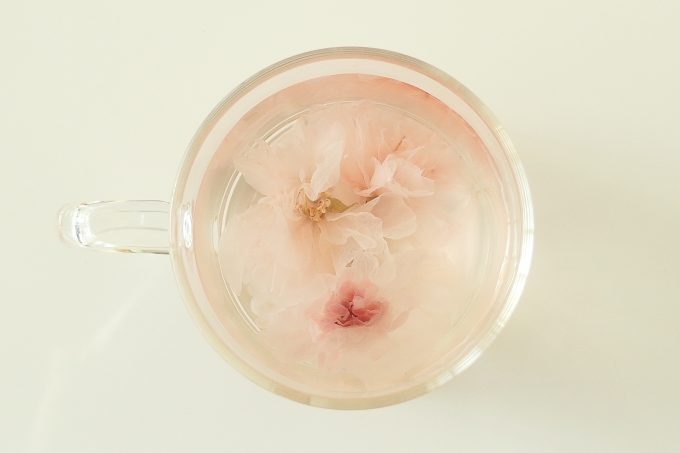 今年もあまい桜茶をご用意しました お茶の通販 京都おぶぶ茶苑ブログ おぶログ 今年もあまい桜茶をご用意しました お茶の通販 京都おぶぶ茶苑ブログ おぶログ